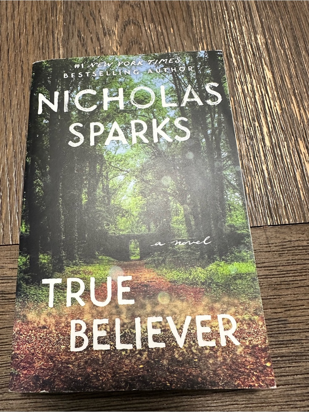 📚4 for $25 📚 - True Believer by Nicholas Sparks